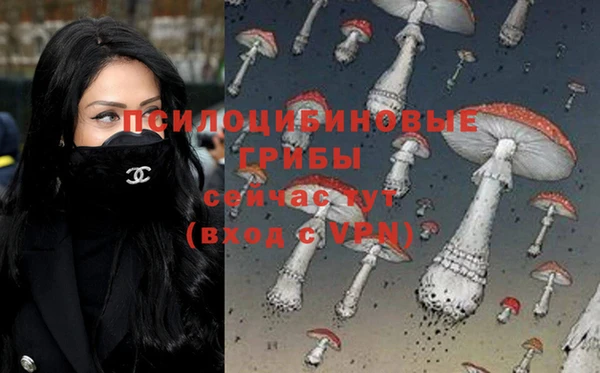 apvp Алзамай