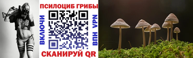 купить наркотики сайты  Балашиха  Галлюциногенные грибы мицелий 