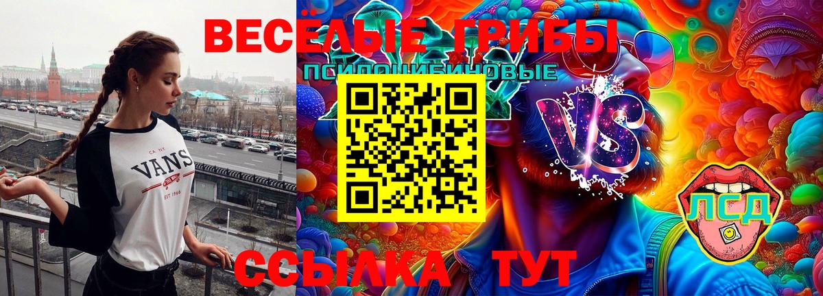 Псилоцибиновые грибы GOLDEN TEACHER  Галлюциногенные грибы ЛСД  Балашиха  Вход с VPN 