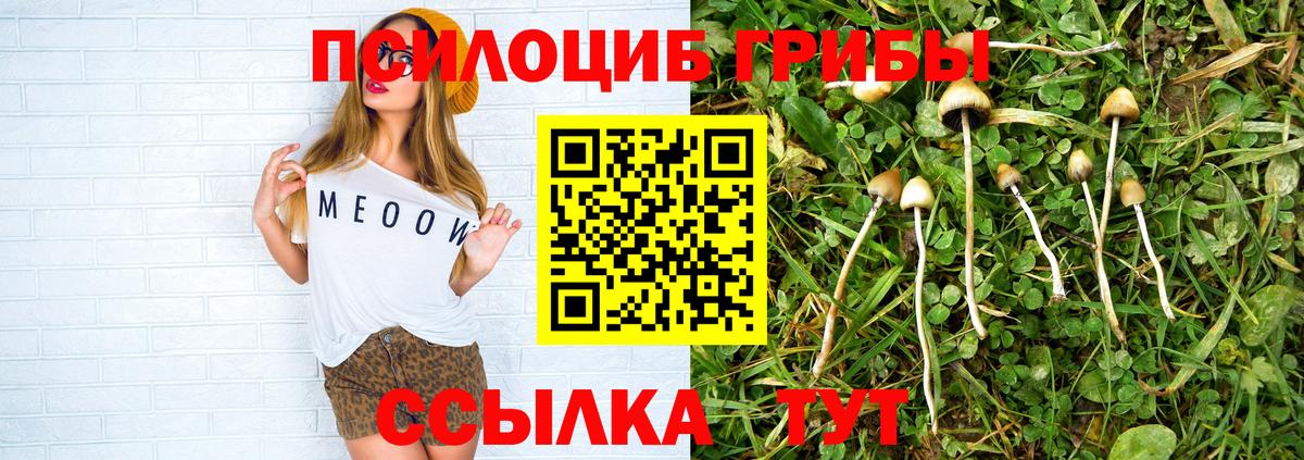 Галлюциногенные грибы мухоморы Балашиха