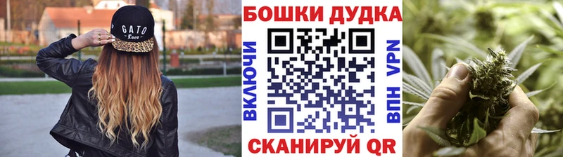 Конопля SATIVA & INDICA  купить наркоту  Балашиха 